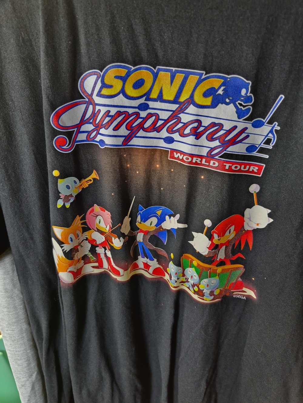 Gildan Black Sonic Symphony World Tour Graphic Tee Bin 62